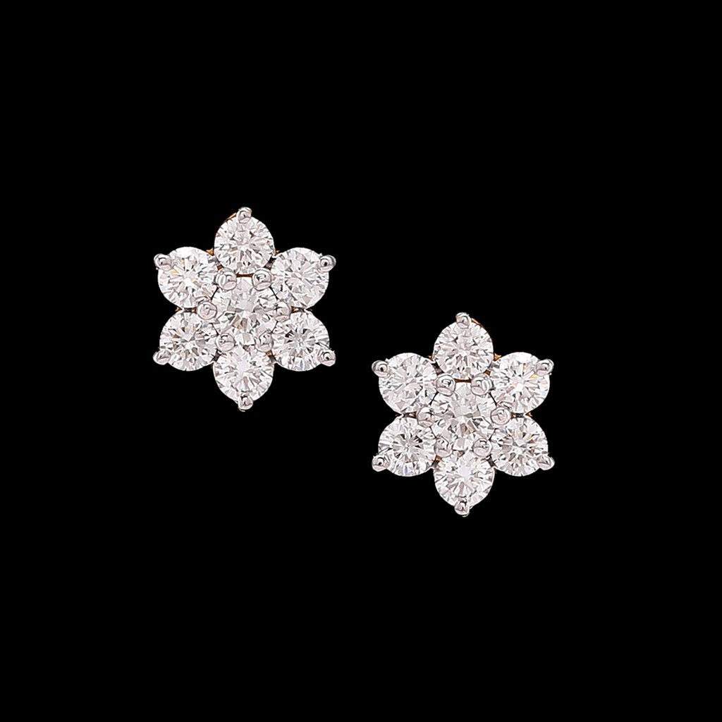 Earring 13